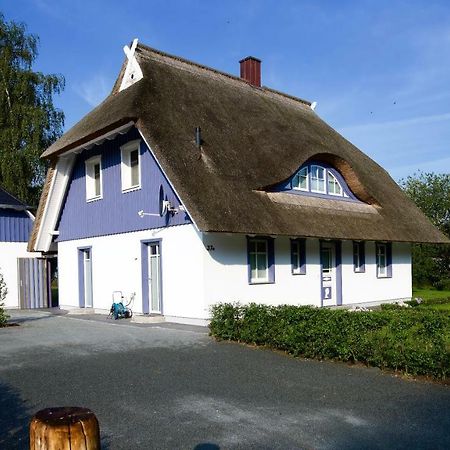 Haus Meerblau Born Exterior foto
