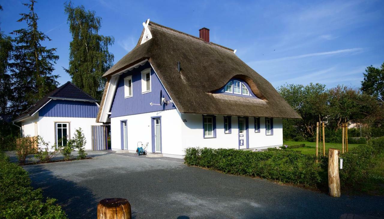 Haus Meerblau Born Exterior foto